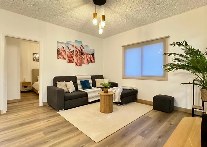 The North Paradise -