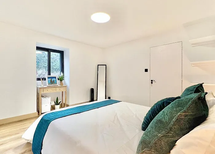 The North Paradise -