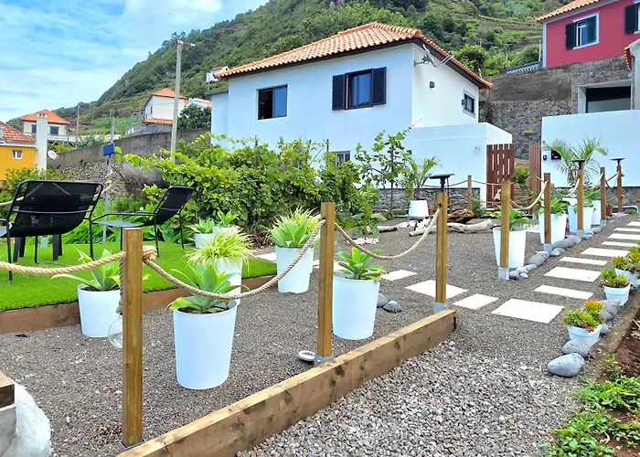 The North Paradise -