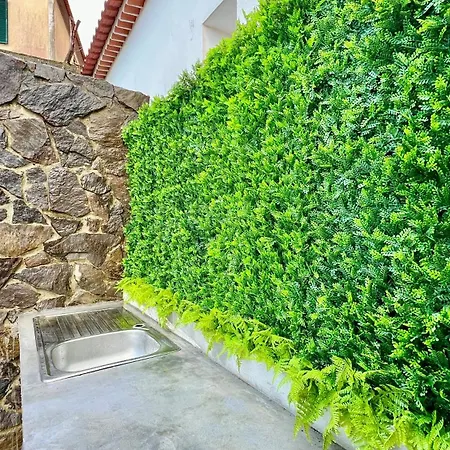 The North Paradise - * Porto Moniz