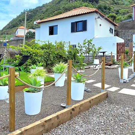 The North Paradise -