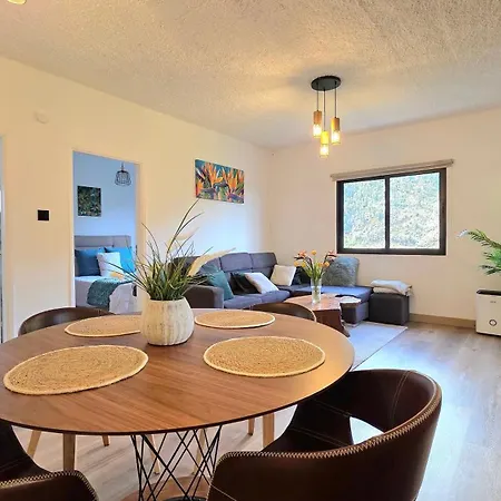 The North Paradise -